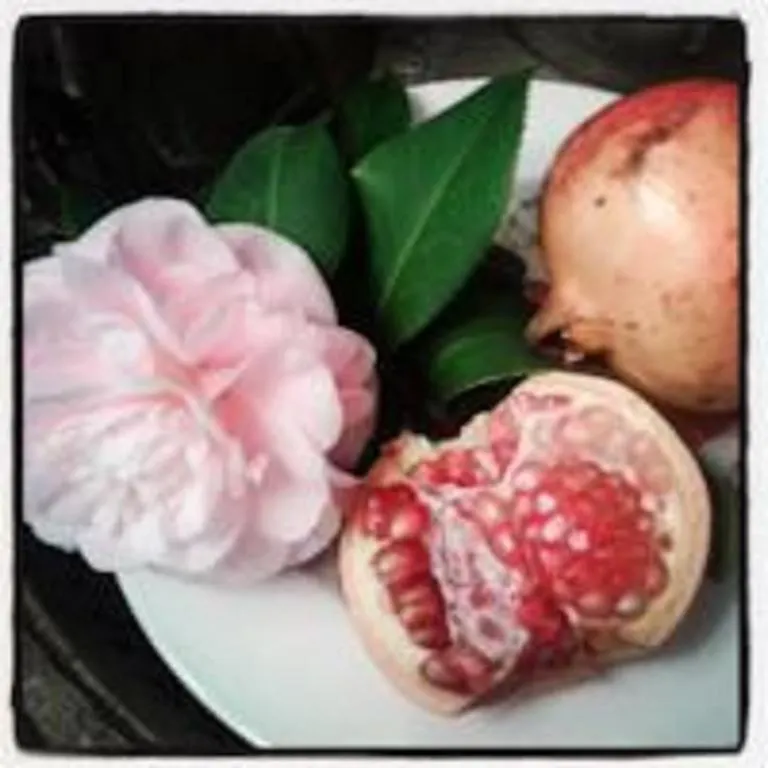 Bed & Breakfast Giardino Della Melagrana Bed and Breakfast Firenze